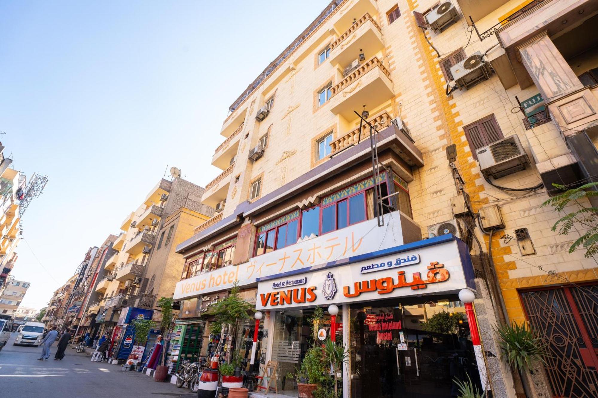 Hostal Venus 日本人 大歓迎 Luxor